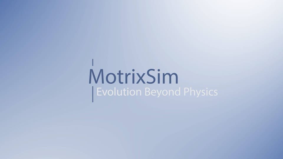 Simulation Platform
